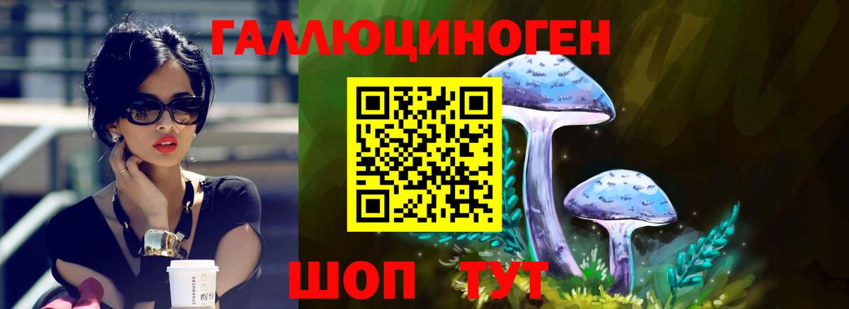 Кунгур  Псилоцибиновые грибы ЛСД  Вход с VPN 